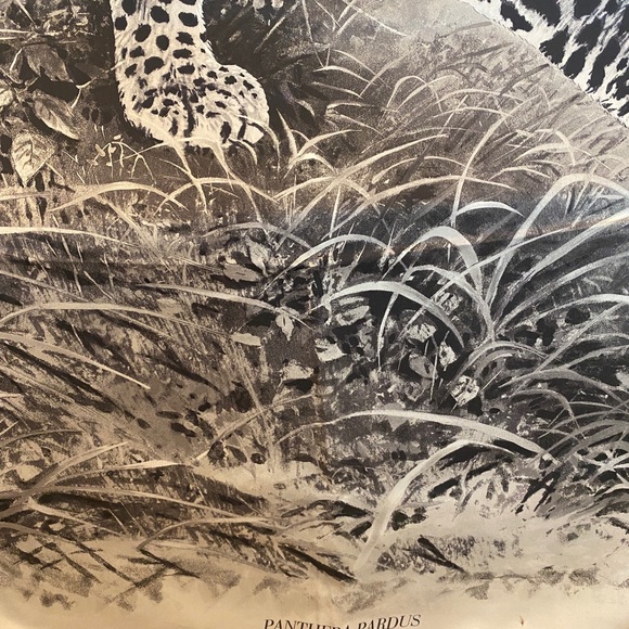 Hermes Limited Edition Retired Panthera Pardus Silk 140cm 55” Scarf Shawl Dallet - Picture 4 of 15